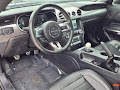 2019 Ford Mustang Bullitt