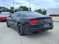 2019 Ford Mustang Bullitt