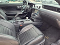 2019 Ford Mustang Bullitt