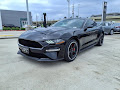 2019 Ford Mustang Bullitt