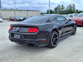 2019 Ford Mustang Bullitt
