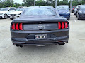 2019 Ford Mustang Bullitt