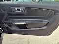 2019 Ford Mustang Bullitt