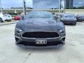 2019 Ford Mustang Bullitt